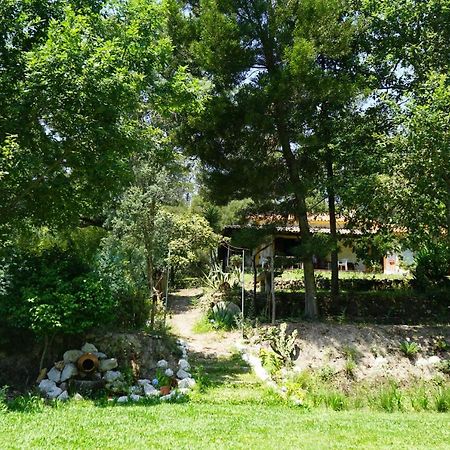 Villa Quinta Do Vale Grande Albergaria-a-Velha Exterior foto