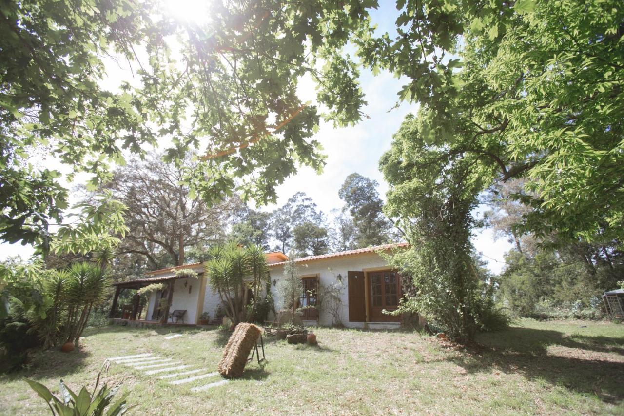 Villa Quinta Do Vale Grande Albergaria-a-Velha Exterior foto