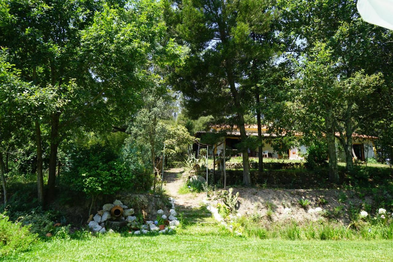 Villa Quinta Do Vale Grande Albergaria-a-Velha Exterior foto
